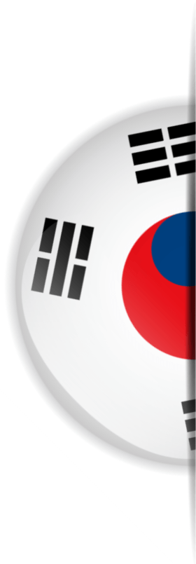 Half of the Korean Flag